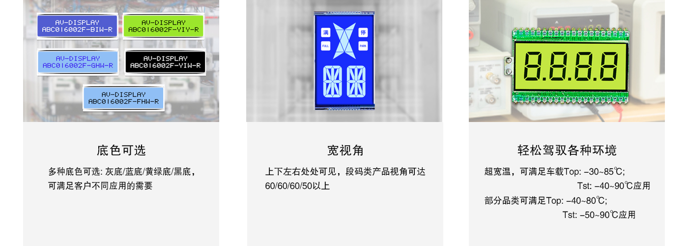 赏金船长·(中国大陆)官方网站